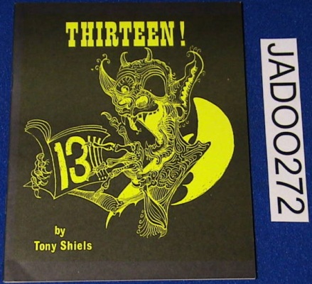 Tony Shiels:
              Thirteen