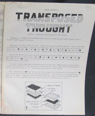 Nick Trost: Transposed Thought